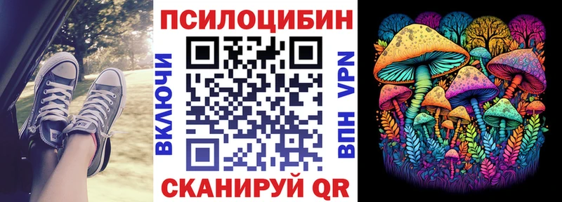 как найти закладки  Верея  hydra ТОР  Псилоцибиновые грибы ЛСД 